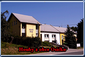 Úvod