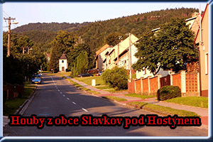 Úvod
