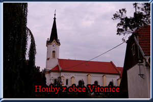 Úvod